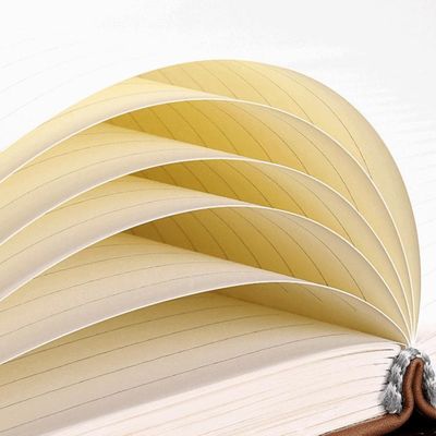 Thickening A5 PU Leather Diary Notepad with Customized Hardcover Planner Journal Notebook